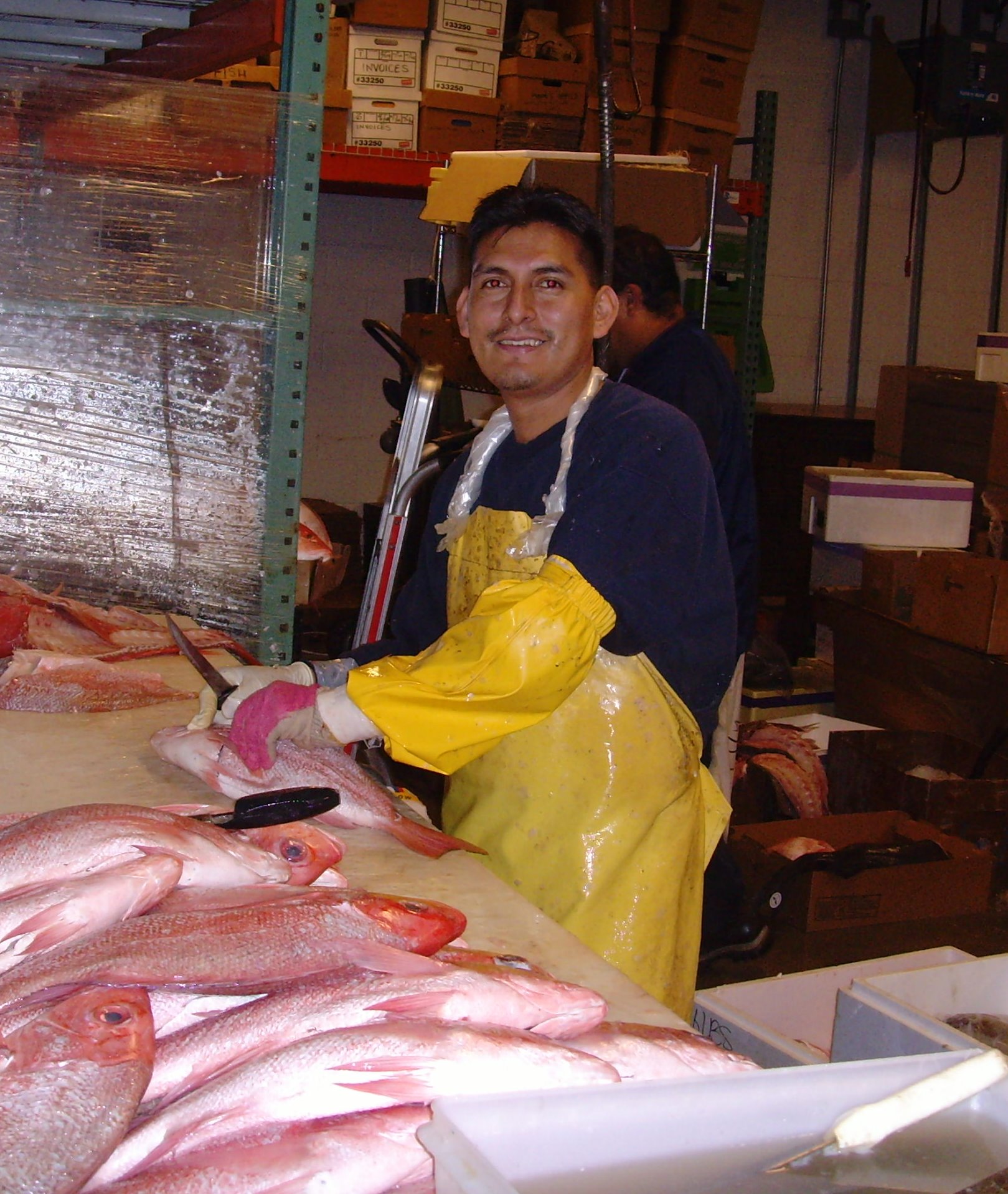 fish